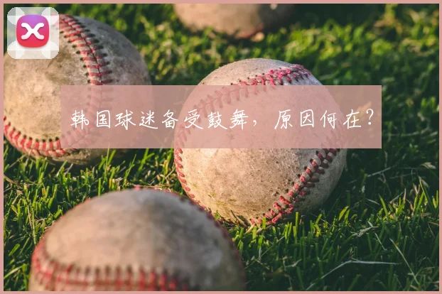 韩国球迷备受鼓舞，原因何在？