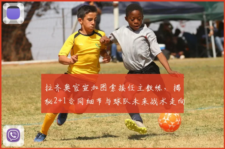 拉齐奥官宣加图索接任主教练,揭秘2+1合同细节与球队未来战术走向